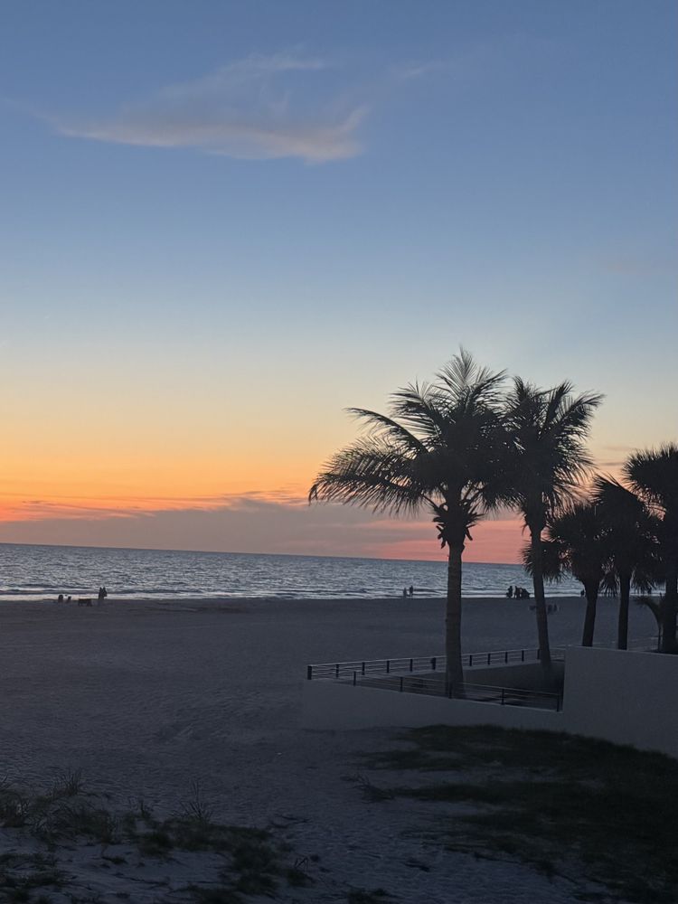 Silhouettes of palm trees with the beach just after sunset.