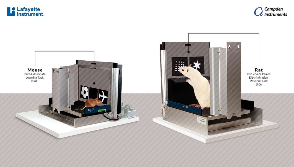 Campden Bussey-Saksida Touchscreen Chambers