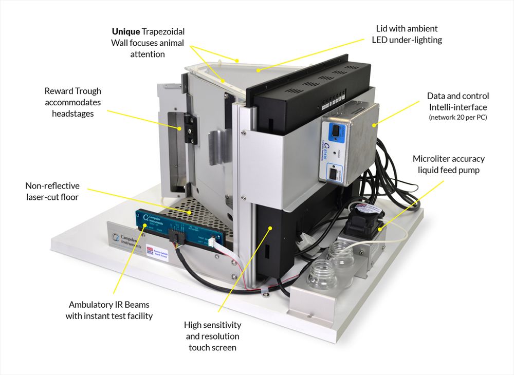 Bussey-Saksida Touchscreen chamber diagram