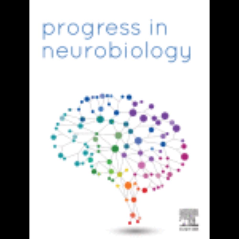 Adverse and compensatory neurophysiological slowing in Parkinson’s disease