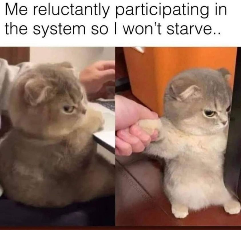 Funny work meme