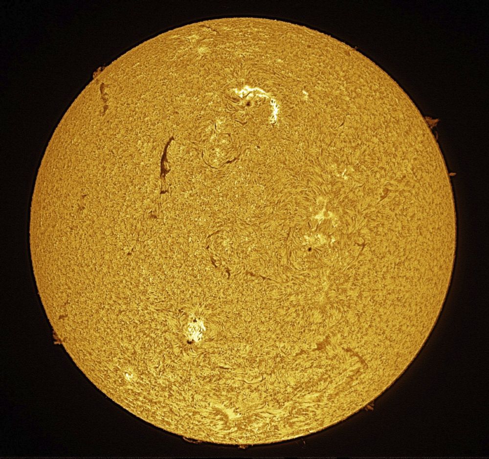 H-alpha image of the sun, Aug. 2, 2025