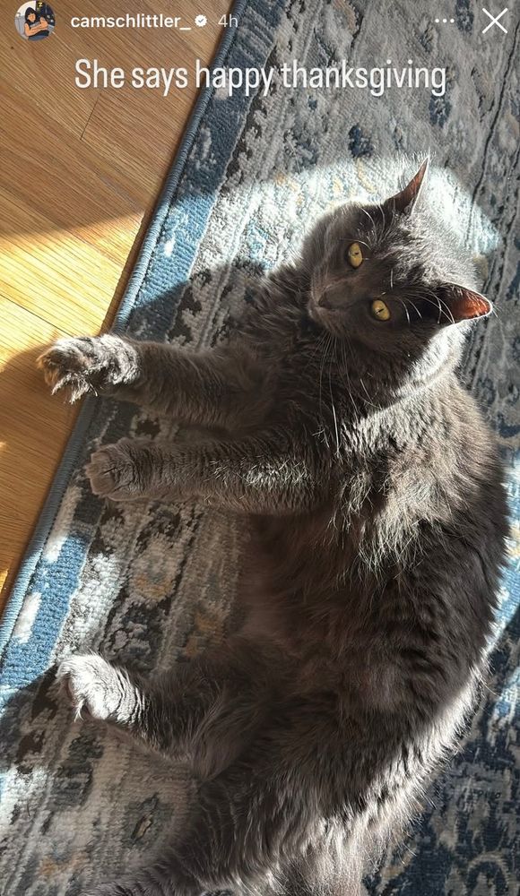 Happy Thanksgiving from Cam Schlittler’s cat, Arya