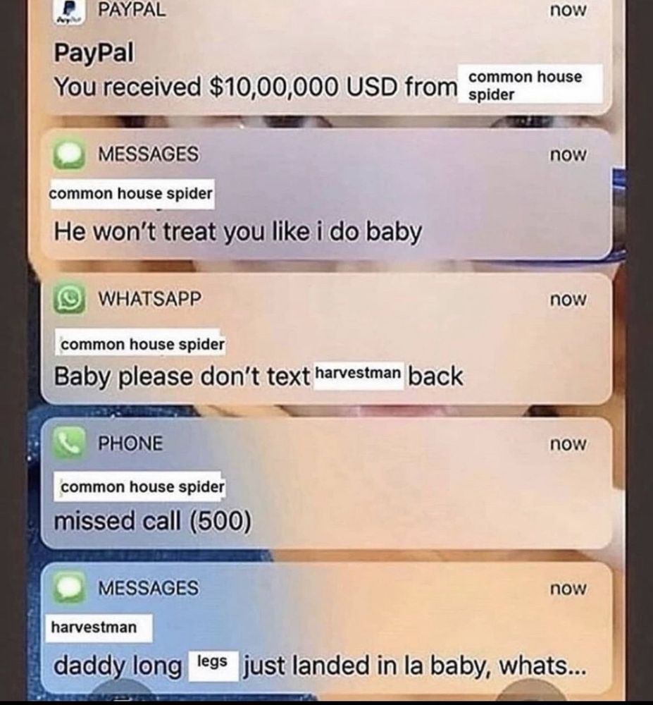 a list of notifications, starting with PayPal: You received $1 million from common house spider
Message from common house spider: he won't treat you like i do baby
Whatsapp from common house spider: baby please don't text harvestman back
500 missed calls from common house spider 
Message from harvestman: daddy long legs just landed in LA baby, what's...