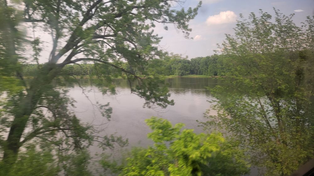 Trees in the foreground, Mississippi River in the background separating Wisconsin and Minnesota. 