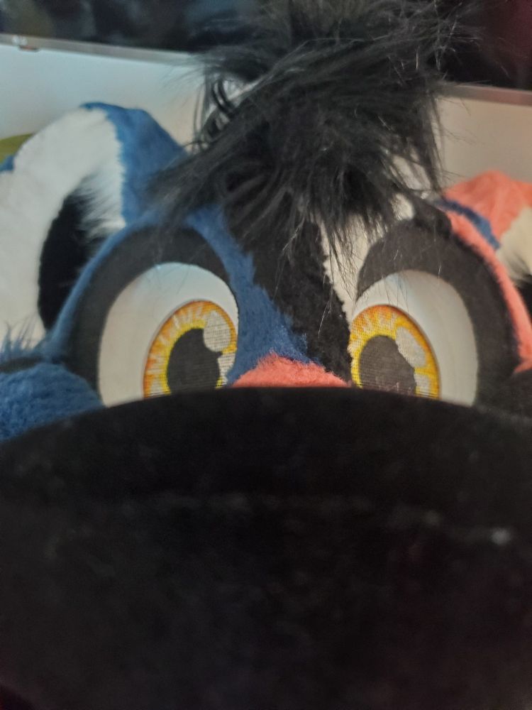 DOG SNOOT BARK BARK BARK BARK