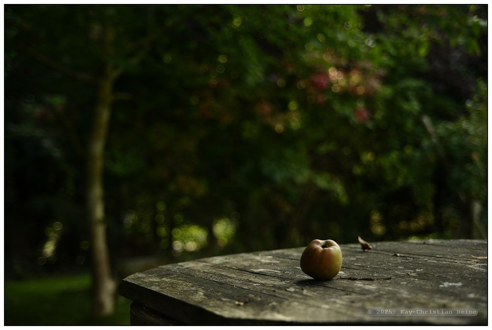 Ein Apfel liegt auf einer verwitterten Holztischplatte im Freien, im Hintergrund unscharfe grüne Bäume.