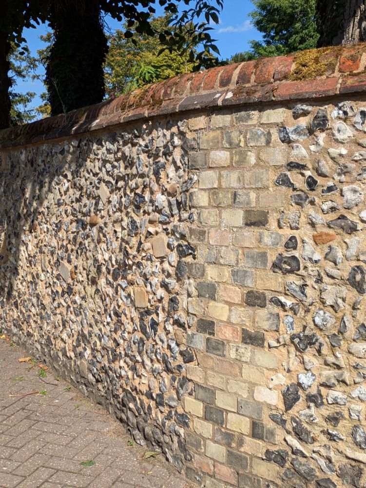 Flint wall topped with red brick coping and with a brick panel insert. Above the wall are trees and blue sky.