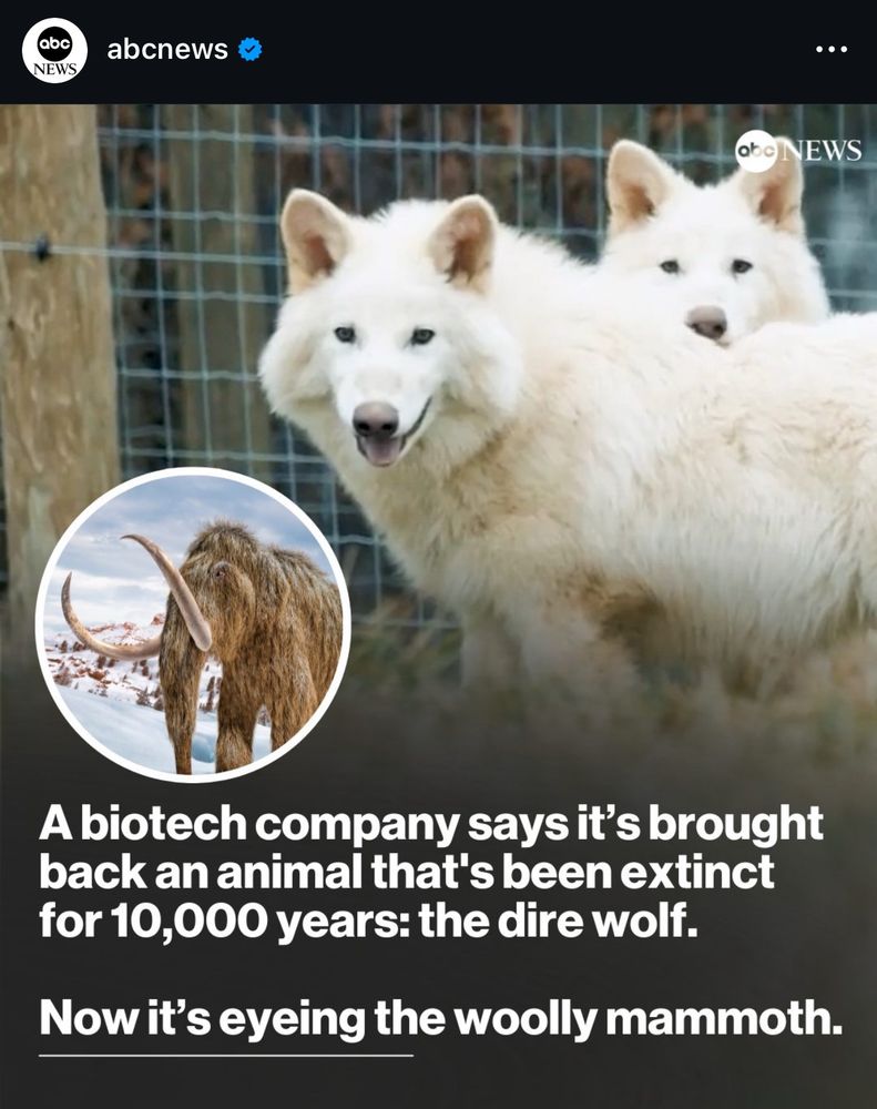 A biotech company says it's brought back an animal that's been extinct for 10,000 years: the dire wolf. Now it's eyeing the woolly mammoth.