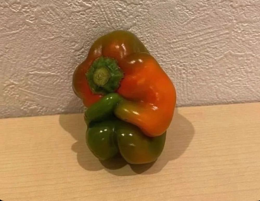 A bell pepper in the fetal position 