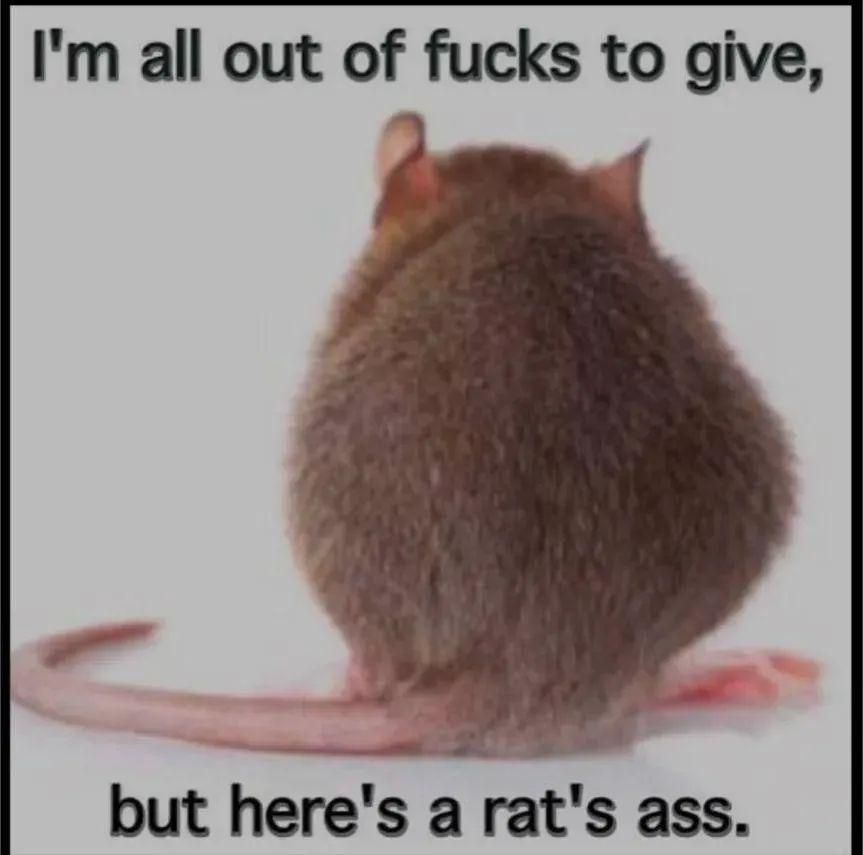 Comment image