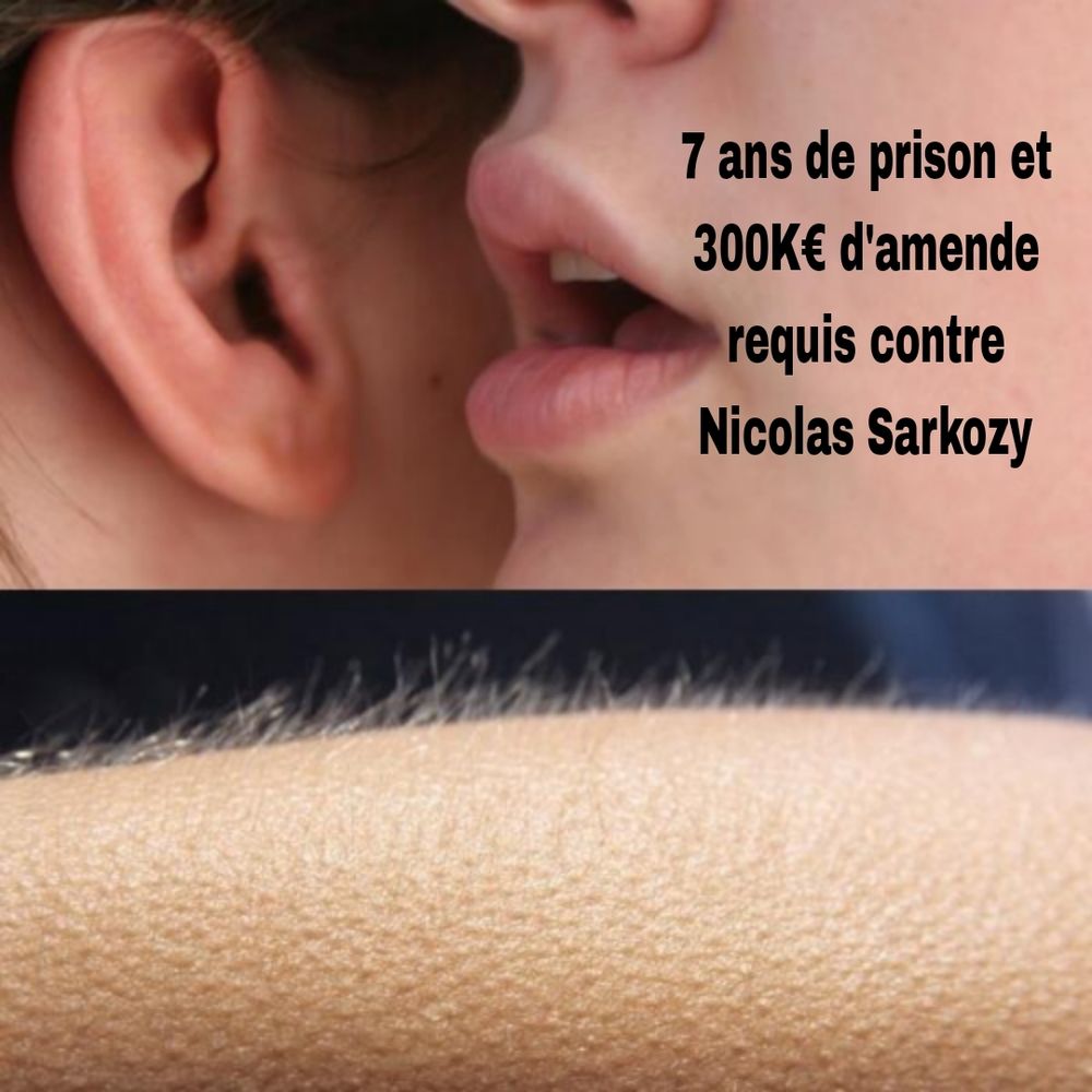 Image en deux parties, sur une personne murmure à l'oreille d'une autre personne "7 ans de prison et 300K€ d'amende requis contre Nicolas Sarkozy", sur la seconde un bras en gros plan a la chair de poule et les poils hérissés 