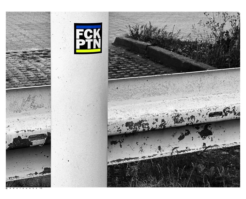 Schwarzweißfotografie mit zwei farbigen Akzenten: an einer Straßenlaterne ein quadratischer dunkler Aufkleber, in Großbuchstaben steht untereinander FCK PTN, darüber ein blauer Balken, darunter ein gelber, hinter der Laterne eine Leitplanke