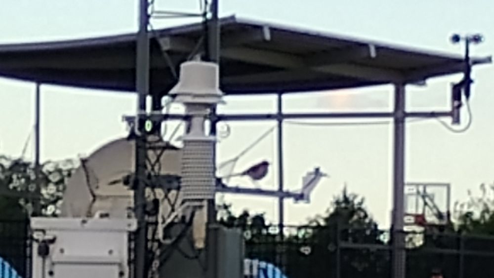 A photo of a bird sitting on the boom which holds the solar radiation sensor at the Kenneth C Crawford Demonstration Mesonet station at the National Weather Center facility on the Research Campus of the University of Oklahoma in Norman, Oklahoma, USA. Taken 2025-05-07.