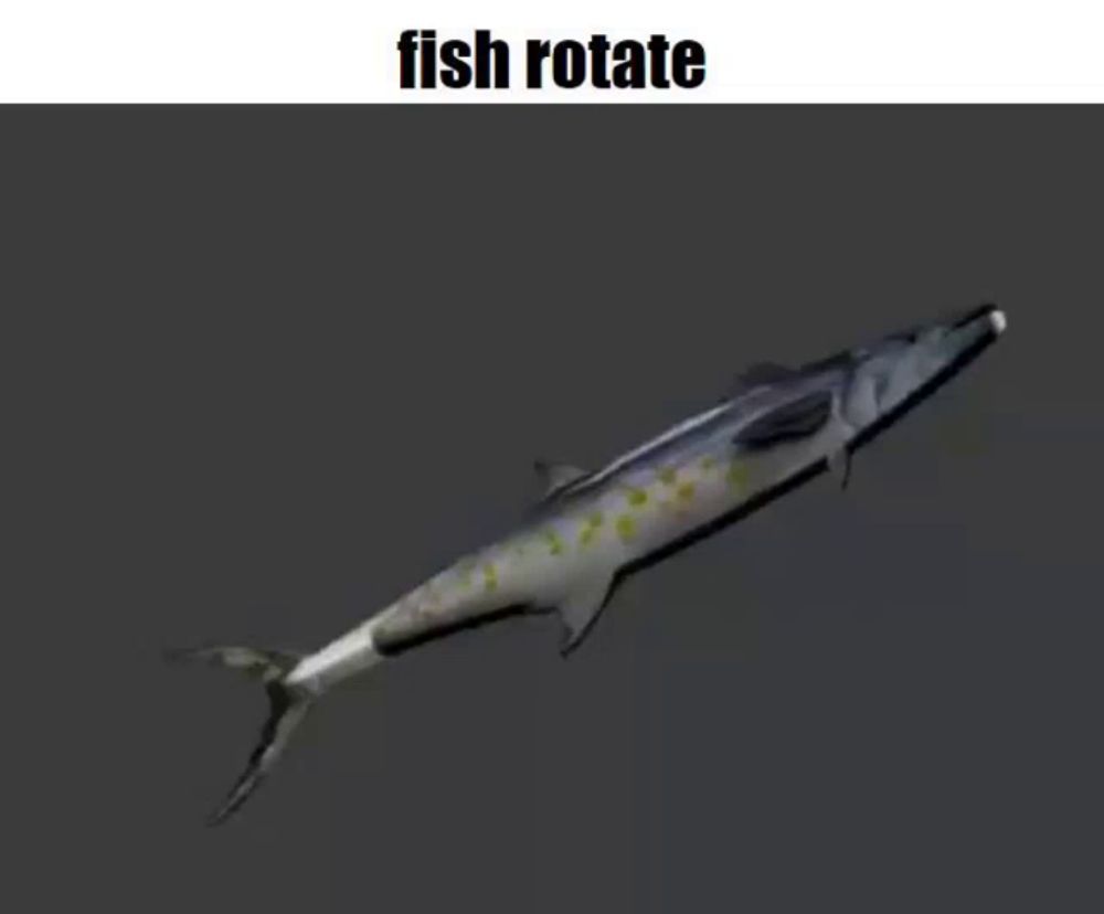 a picture of a fish that says fish rotate