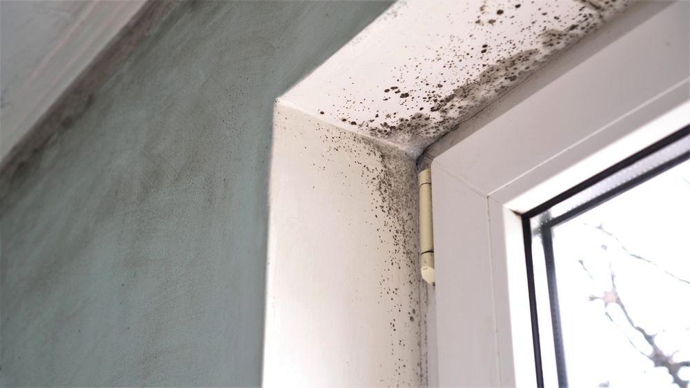 Image of mould around the edges of a window