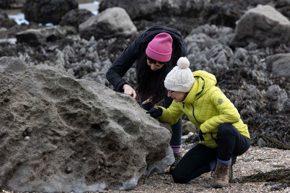 Two people search for fossils