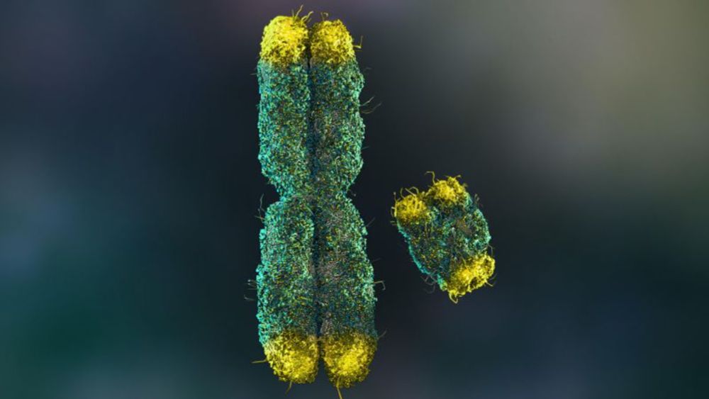 Scientists fully sequence human Y chromosome for the first time | CNN