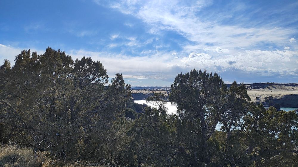 The Snake River as seen through some bushes and scrub brush.