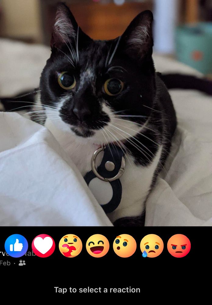 Comment image