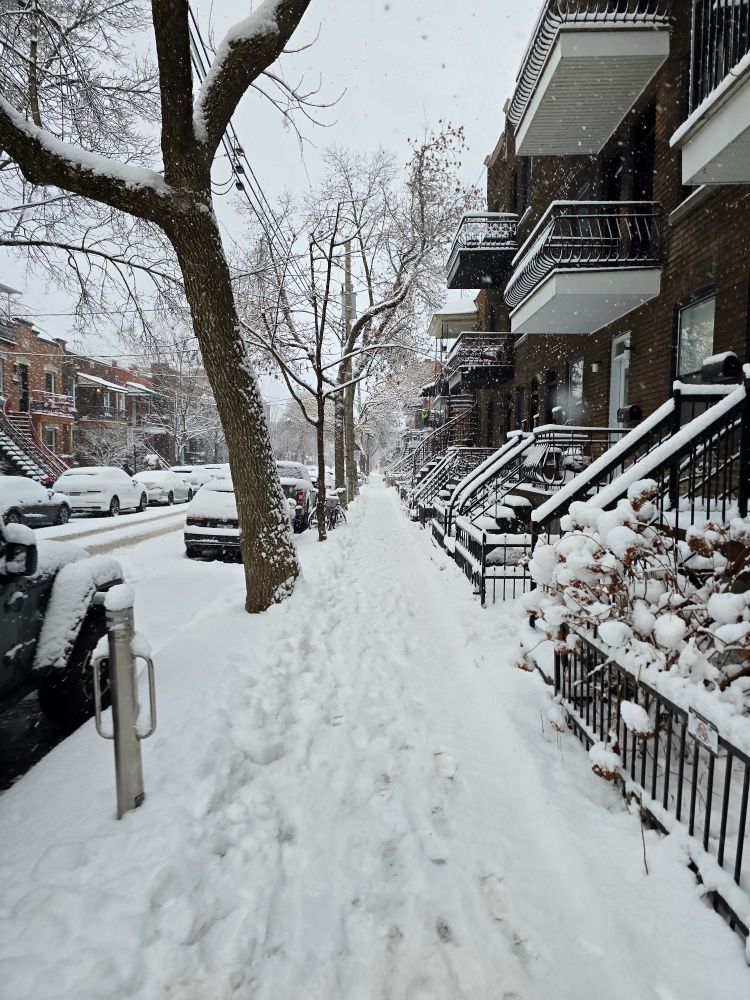 A Montreal sidewalk after a fresh snowfall.