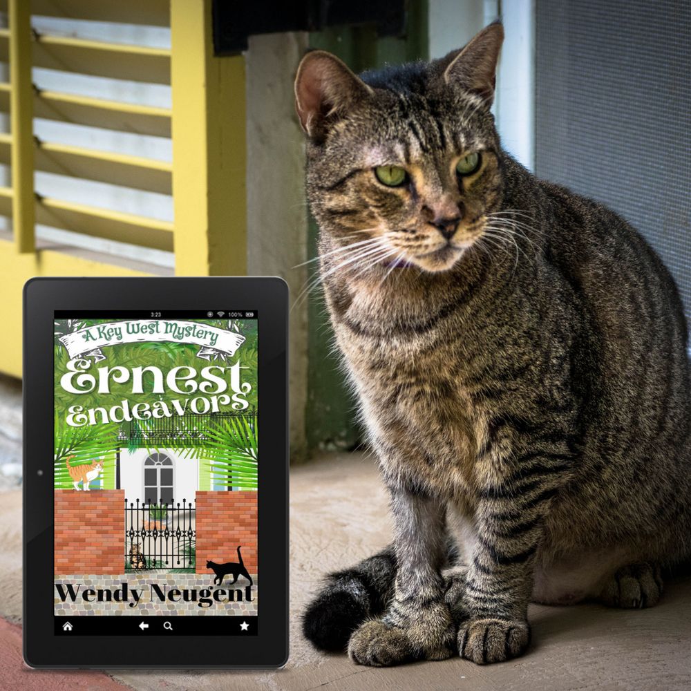 A polydactyl Hemingway cat on the porch of the Hemingway Museum next to an ebook of Wendy Neugent's book, Ernest Endeavors.