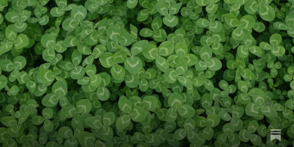 Exploring the psychology of luck