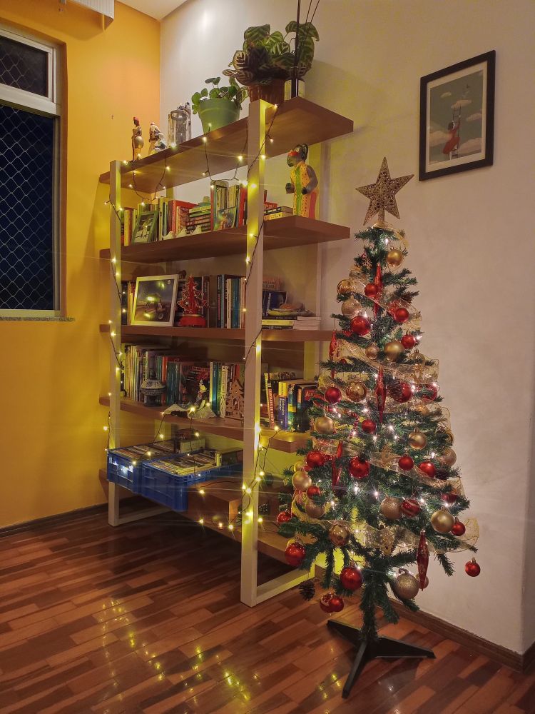 esquina da sala com uma estante de livros rodeada por luzes pisca-pisca e ao lado uma árvore de natal com pisca-pisca