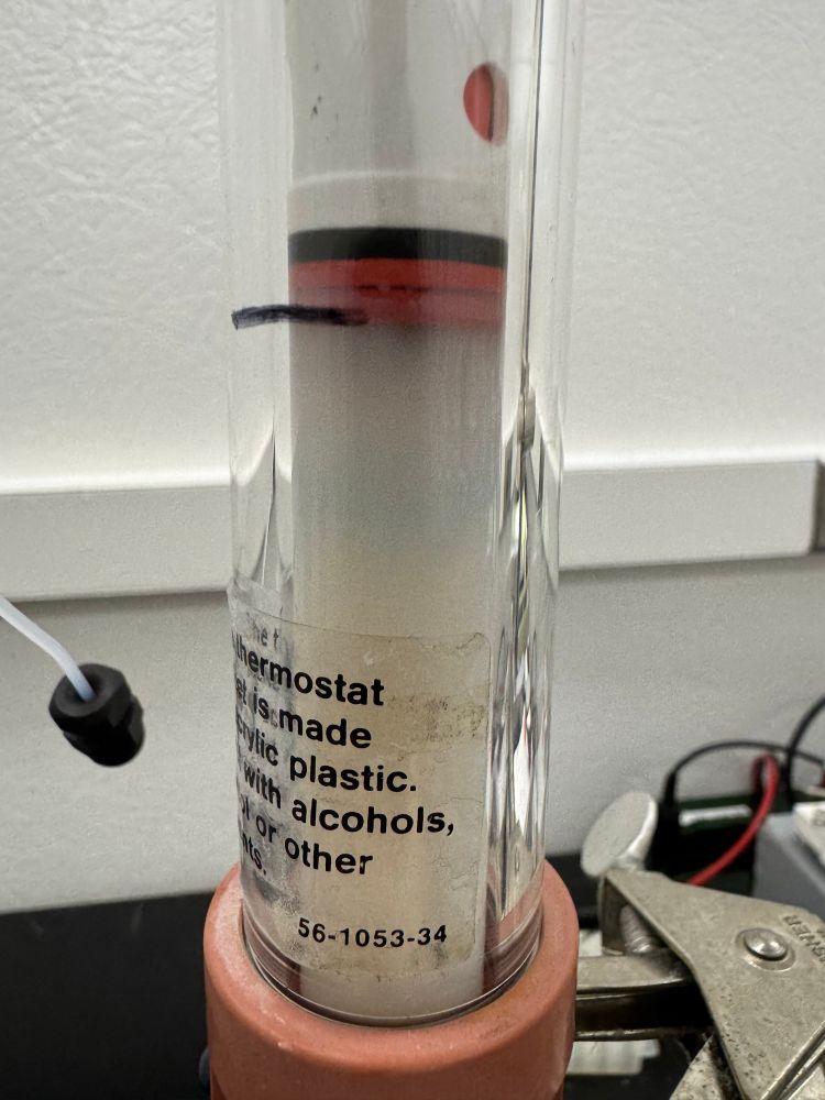 Up close of Q sepharose column with mysterious blue band 