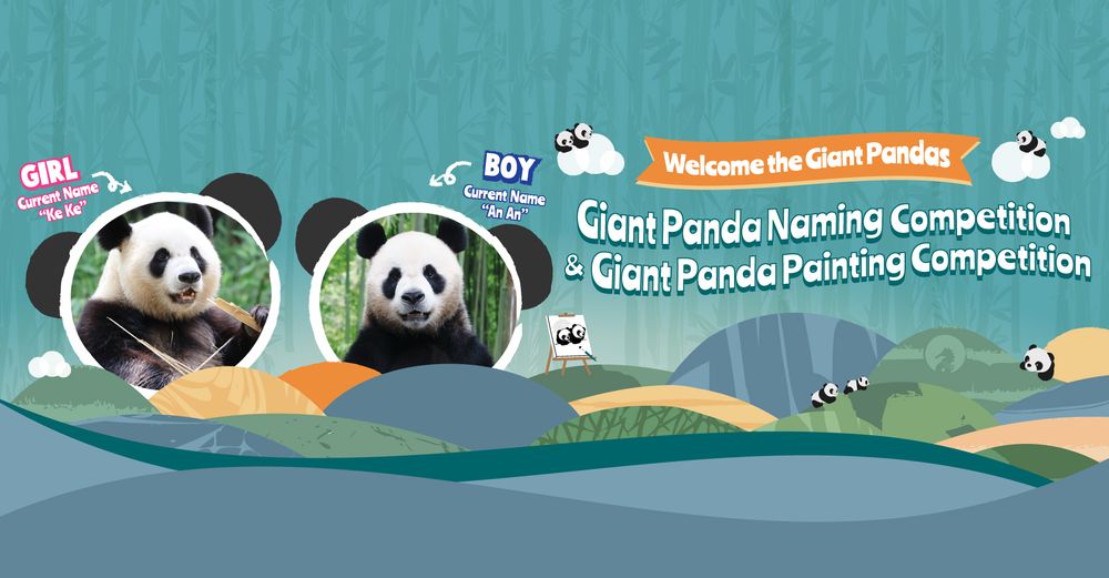 Giant Panda Naming Competition