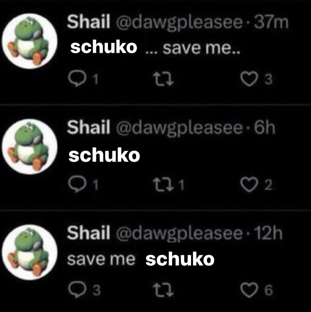 „save me white girl“ meme, but „white girl“ is replaced with „schuko“
