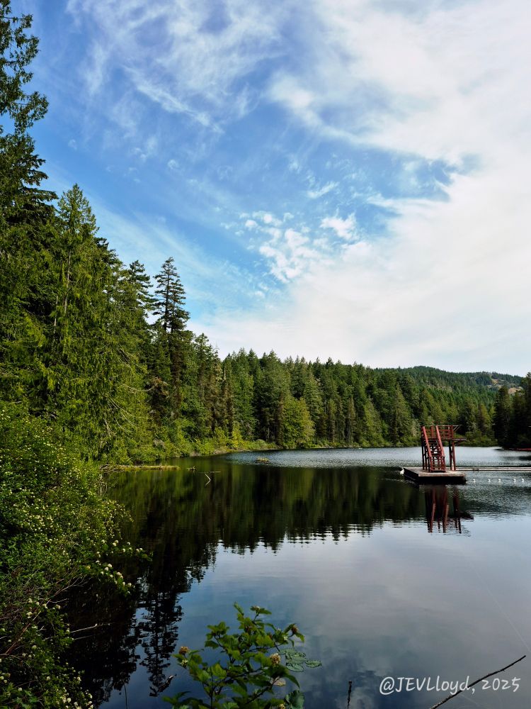 Photograph taken by Jennifer Lloyd of a lake surrounded by trees
