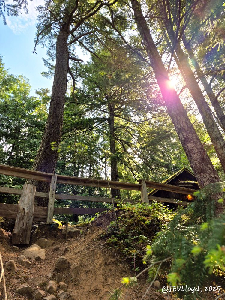 Photograph taken by Jennifer Lloyd of a little cabin in a remote forest