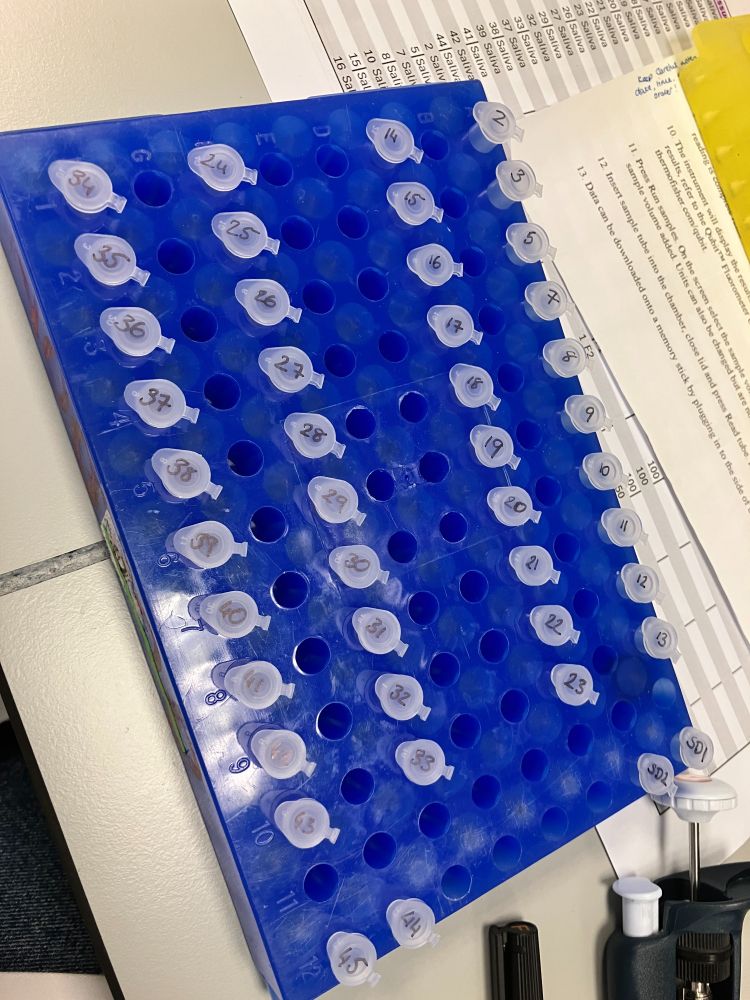 A blue test tube rack filled with numbered tubes. Next to it is a pipette and papers.