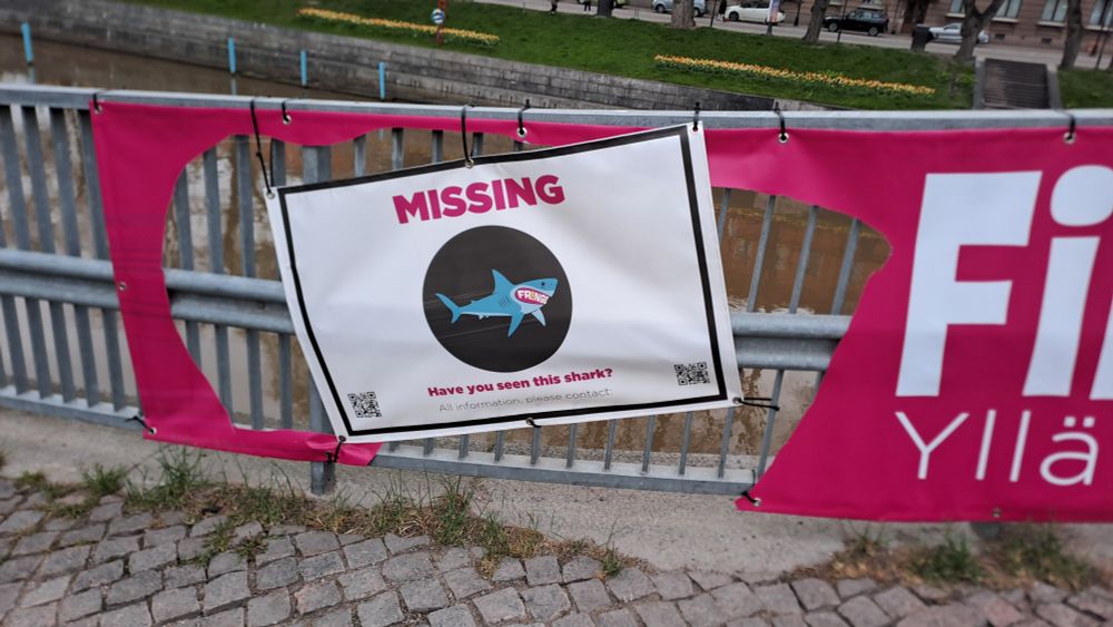 A poster with the word missing written in all caps on top, a picture of a shark, and a sentence "Have you seen this shark?" Written at the bottom