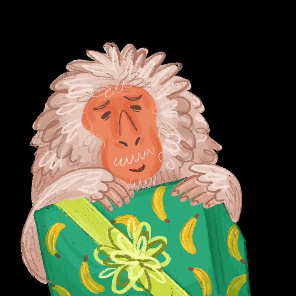 A Japanese Macaque smiling and holding onto a present thats wrapped in a banana print paper