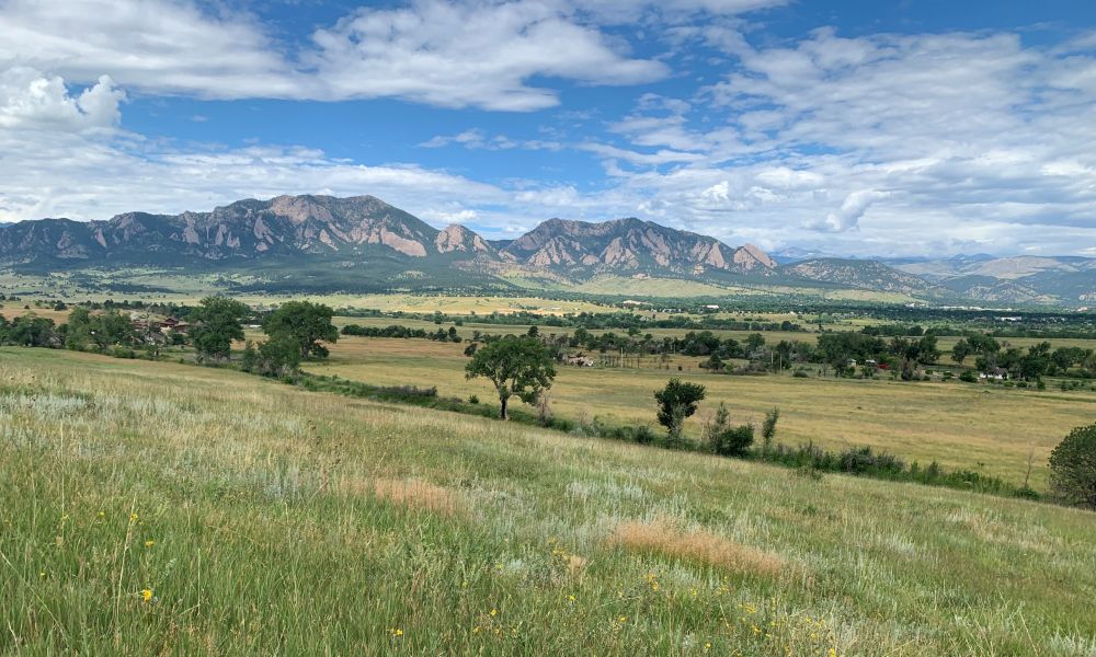 Grassland scene near Boulder, CO