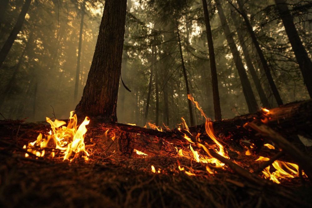 Wildfire prompts leaders of Saskatchewan First Nation to call for evacuation