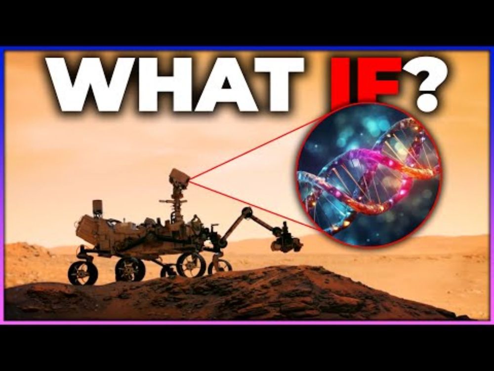 What Happens If We Find Extraterrestrial Life?