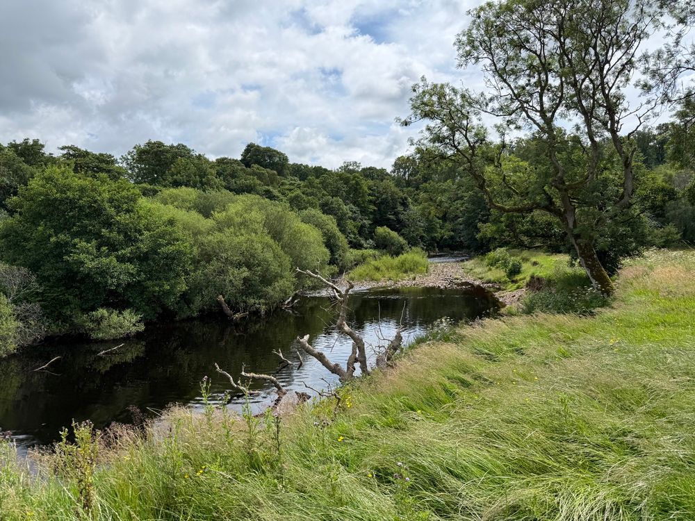 A landscape photo of a river in Cumbria surrounded by green trees and lush green grass. It was a warm day with intermittent clouds and sun.