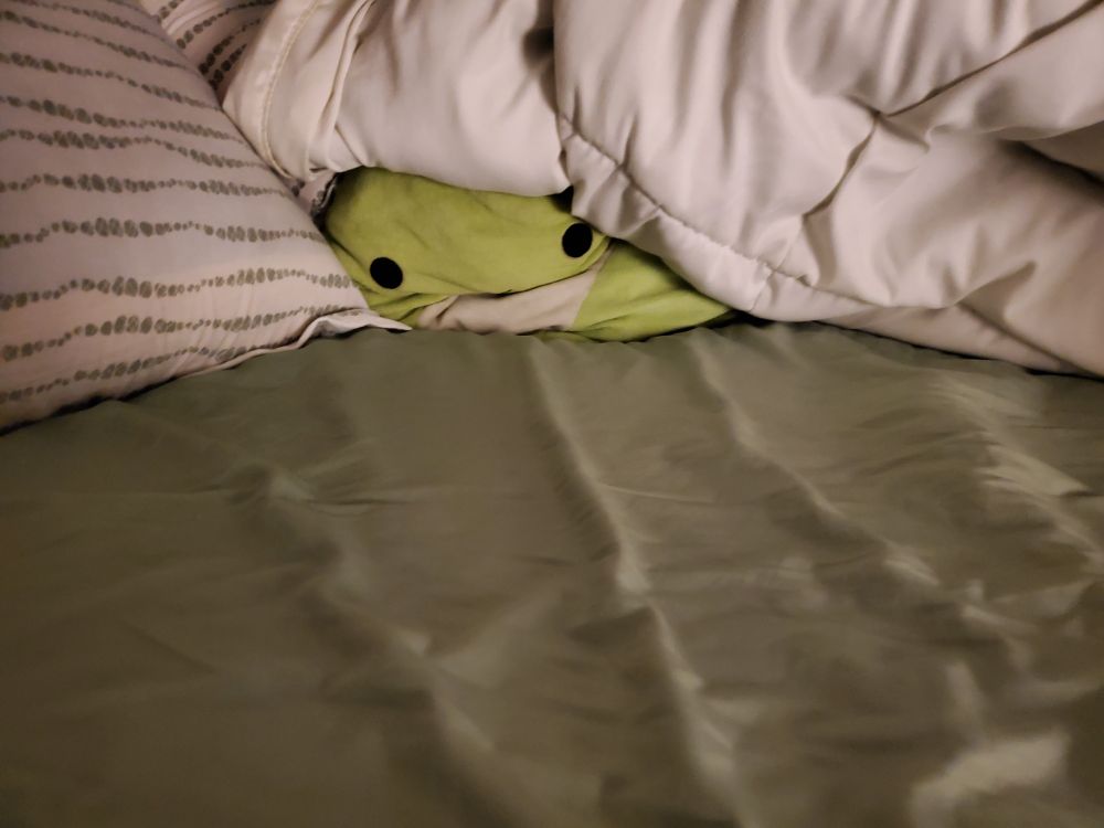 my lime green dino squishmallow danny, squished under my comforter, with my flat sheet wrinkled under him and my pillow right next to him. he's kinda making an :[ face.