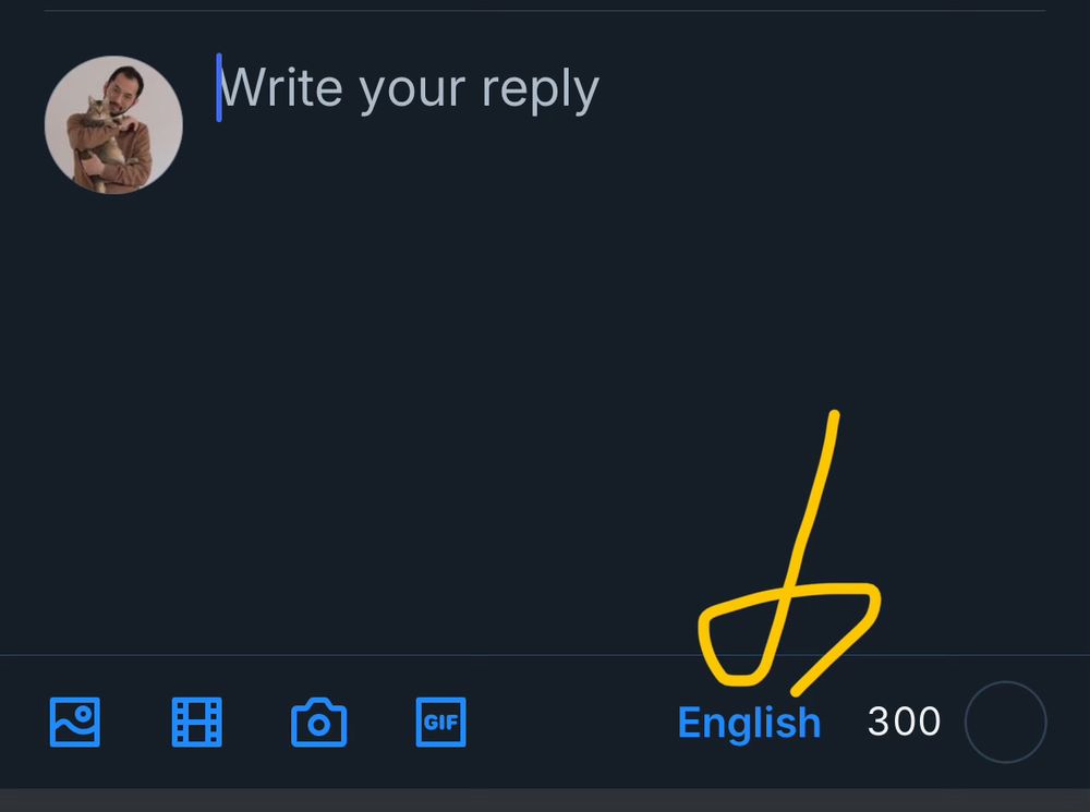 Bluesky language selection button