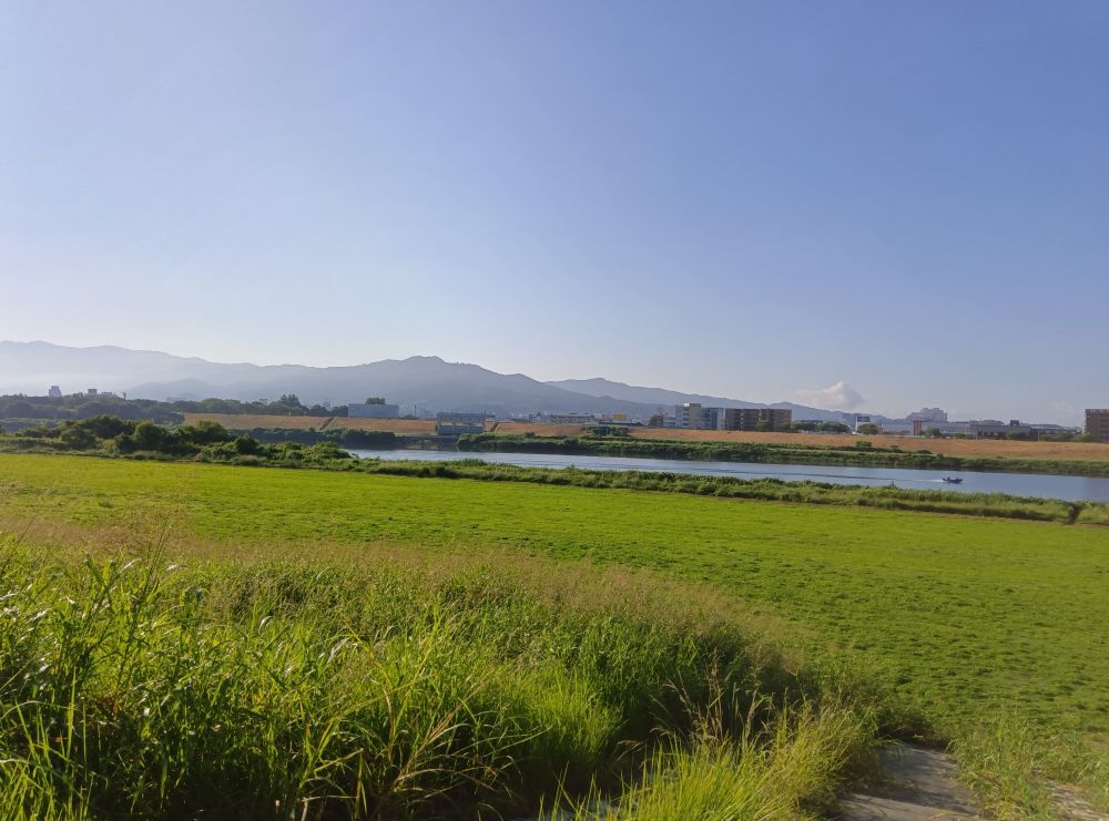 仕事を辞めると無気力な状態に陥り何もしたくなるといった症状が出ることがあるそうです
燃え尽き症候群とも言えるらしいですね
狸も今まで何も考えずにせっせと働いていてその隙間時間を利用して投稿原案を書いてました
今は隙間時間だけになってしまい朝ごはんを食べて休憩して昼ごはんを食べて昼寝して夜ごはんを食べて就寝するを繰り返してます
家猫と一緒ですね
それに仕事とはいえ毎日の様に１万歩歩いてたのが今は百歩しか歩いてません
外を歩くと老人クラブへのお誘いがありかねませんので身を潜めています
ちなみに昭和３８年制定の厚生労働省老人福祉法による老人年齢は６５歳以上とのこと
違和感を覚えるのは私だけでしょうか