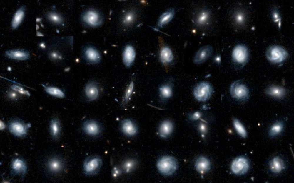 Euclid Galaxy Zoo – help us classify the shapes of galaxies - OU News