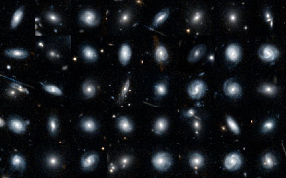 Euclid Galaxy Zoo – help us classify the shapes of galaxies