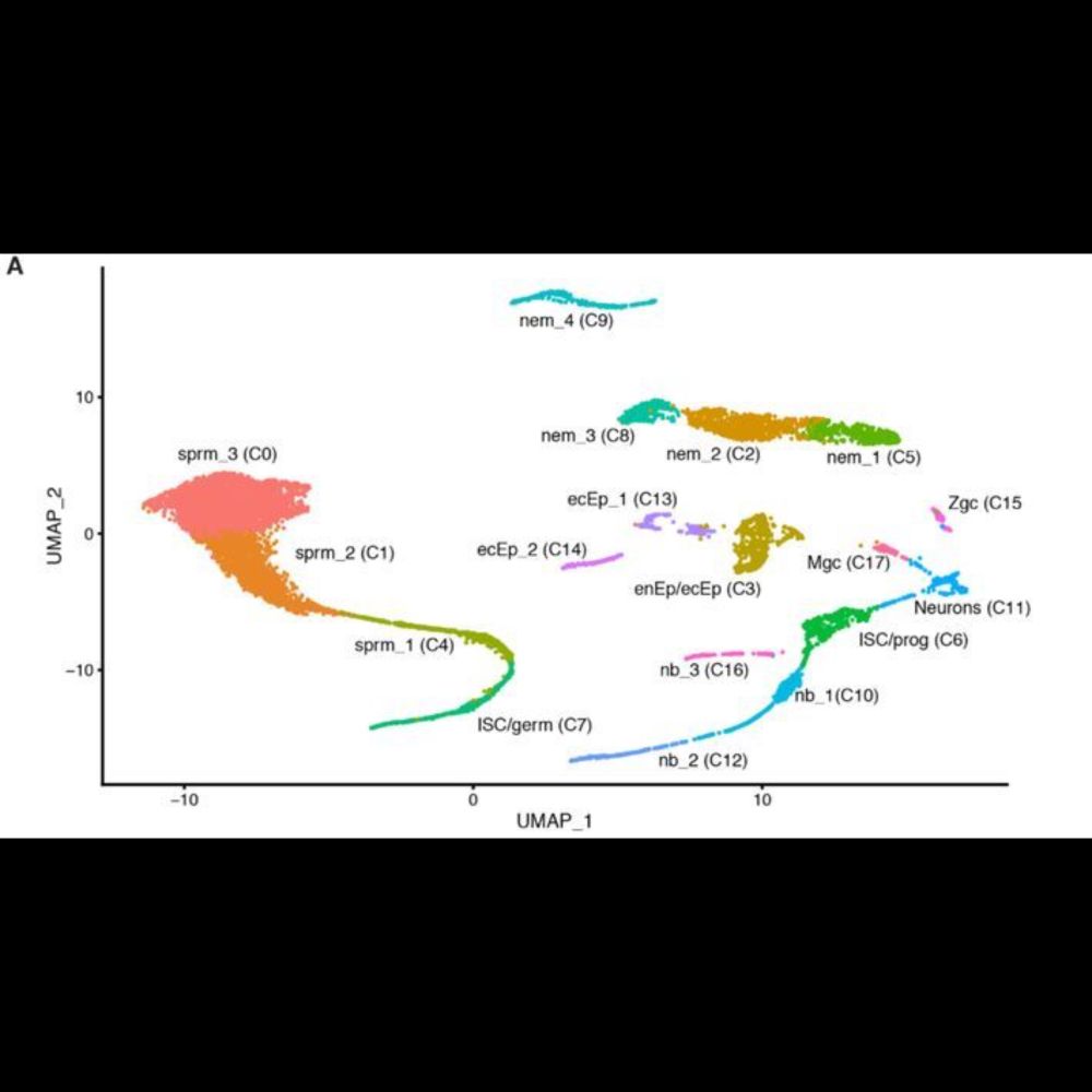 The genome of the colonial hydroid Hydractinia reveals their stem cells utilize a toolkit of evoluti...