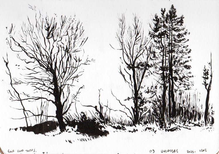 A pen and ink sketch of the trees that border Morecambe Golf Club.