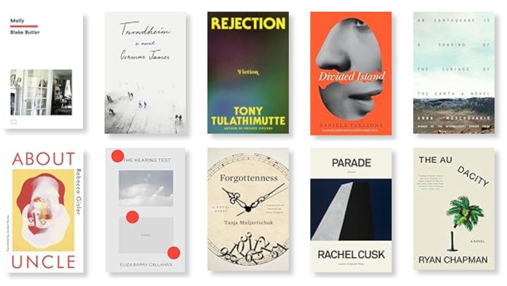 Ten books published (and read by me) in 2024:

Molly by Blake Butler

Trondheim by Cormac James

Rejection by Tony Tulathimutte

Divided Island by Daniela Tarazona translated by Lizzie Davis and Kevin Gerry Dunn

An Earthquake Is a Shaking of the Surface of the Earth by Anna Moschovakis

About Uncle by Rebecca Gisler translated by Jordan Stump

Forgottenness by Tanja Maljartschuk translated by Zenia Tompkins

Parade by Rachel Cusk

The Audacity by Ryan Chapman
