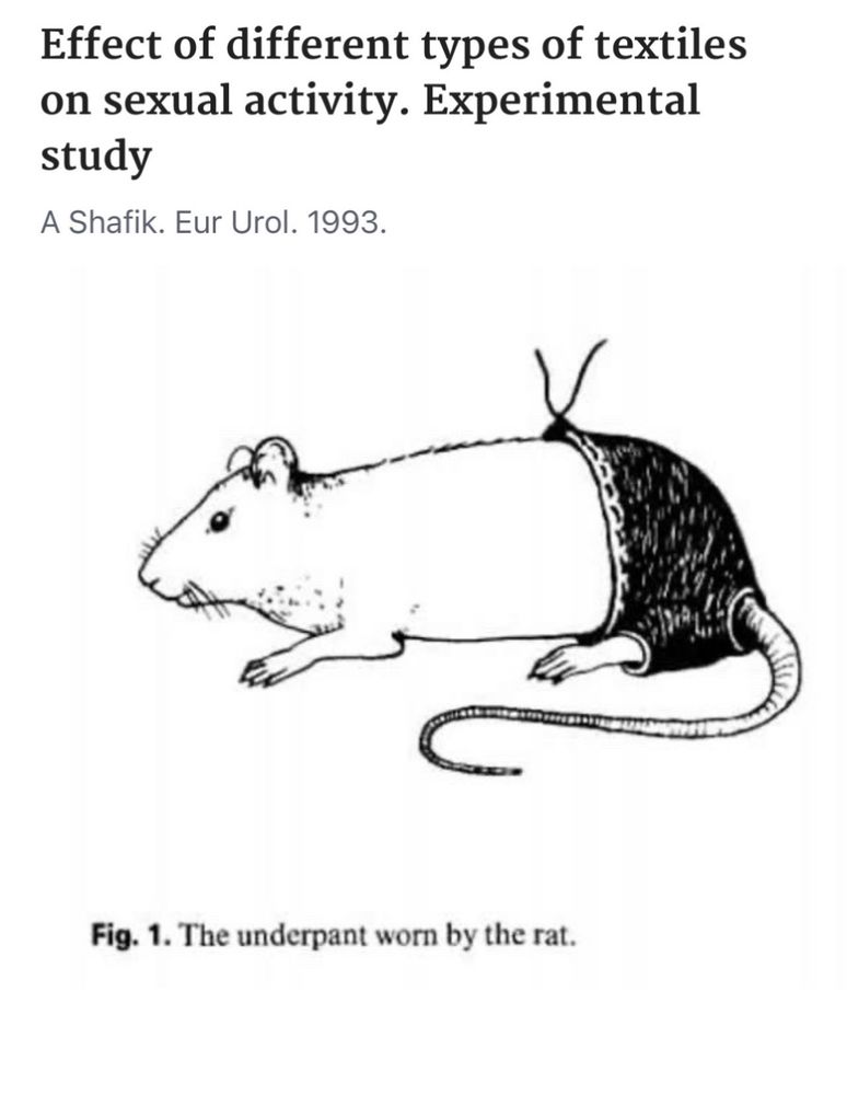 a drawing of a rat and its underpant from a science article about sexual activity and textiles
