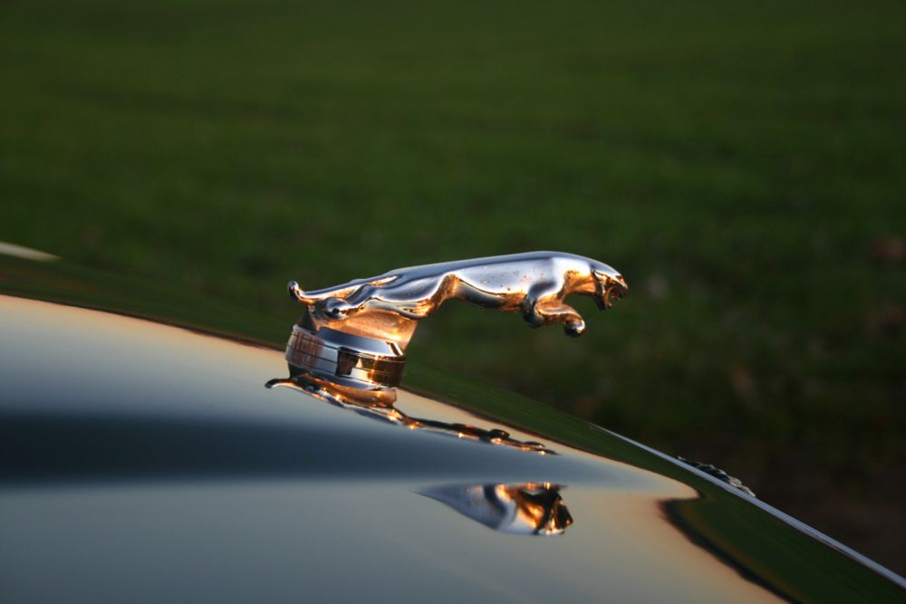 Leaper - Kühlerfigur auf der Motorhaube eines Jaguar im Licht des Sonnenuntergangs.